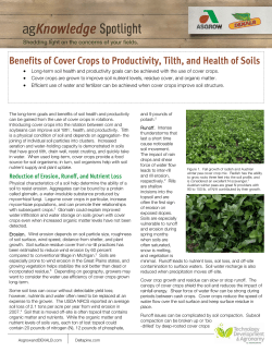Benefits of Cover Crops to Productivity, Tilth, and Health of Soils