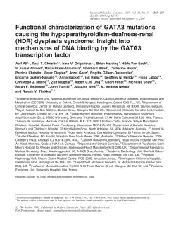 (HDR) dysplasia syndrome: insight i