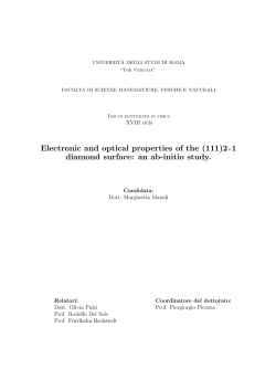 Electronic and optical properties of the (111)2&times;1 diamond surface