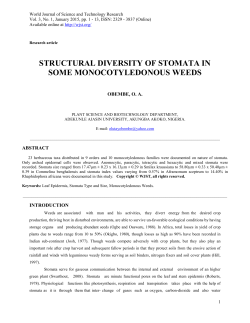 structural diversity of stomata in some monocotyledonous weeds