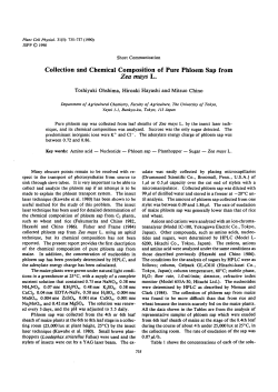 Collection and Chemical Composition of Pure Phloem Sap from Zea