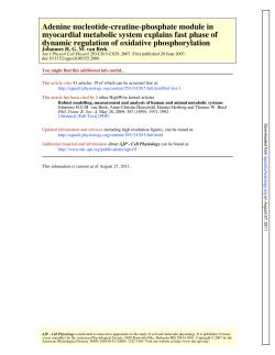 dynamic regulation of oxidative phosphorylation myocardial