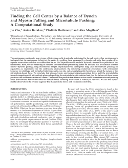 preprint in pdf format - Courant Institute of Mathematical Sciences