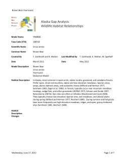 Brown Bear WHR species report