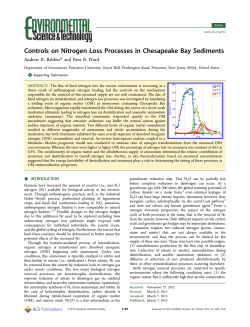 Controls on Nitrogen Loss Processes in Chesapeake Bay Sediments