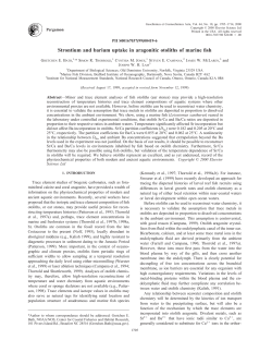 as a PDF