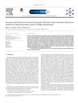 Structure and function of a bacterial Fasciclin I Domain Protein