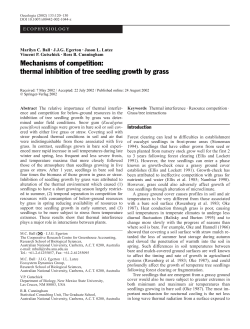 thermal inhibition of tree seedling growth by grass