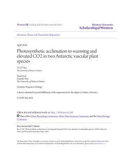 Photosynthetic acclimation to warming and elevated CO2 in two