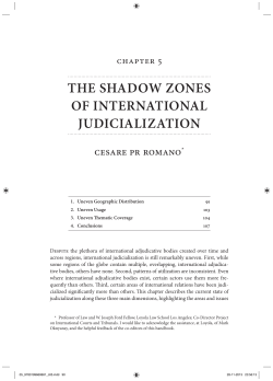 the shadow zones of international judicialization