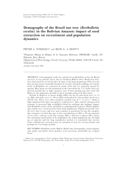 Demography of the Brazil nut tree (Bertholletia excelsa) in the