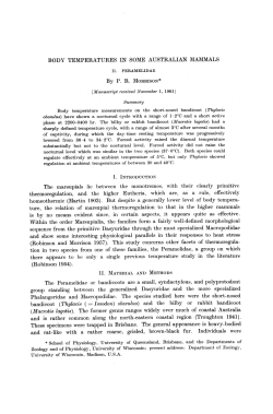 BODY TEMPERATURES IN SOME AUSTRALIAN MAMMALS By