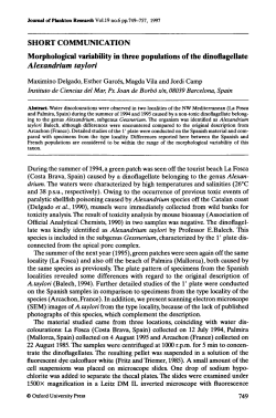 Morphological variability in three populations of the dinoflagellate