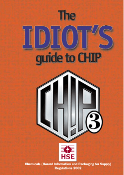 The idiots guide to CHIP