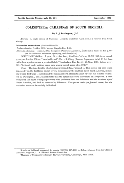 coleoptera: carabidae of south georgia