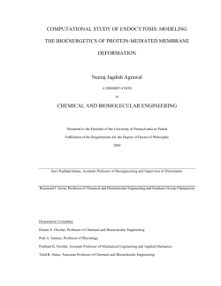 COMPUTATIONAL STUDY OF ENDOCYTOSIS