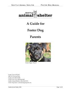 A Guide for Foster Dog Parents