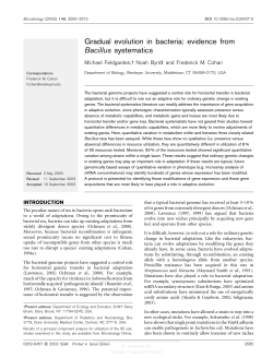 Gradual evolution in bacteria: evidence from Bacillus