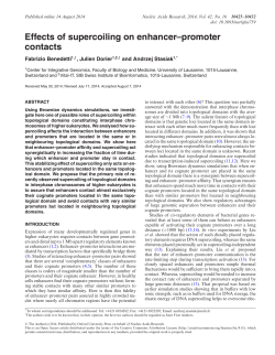 Effects of supercoiling on enhancer&ndash;promoter contacts