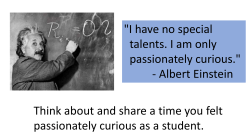 "I have no special talents. I am only passionately curious."