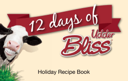Holiday Recipe Book - Hi