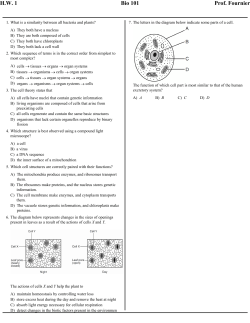 H.W. 1 Bio 101 Prof. Fournier