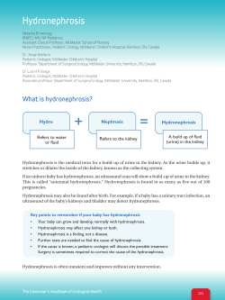 Hydronephrosis - Canadian Urological Association