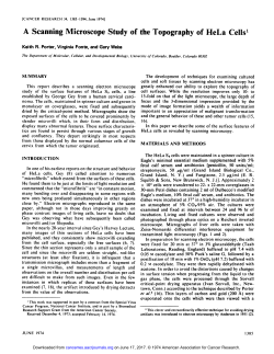 A Scanning Microscope Study of the Topography