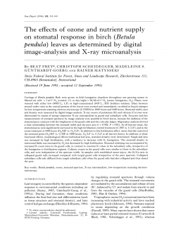 leaves as determined by digital image-an