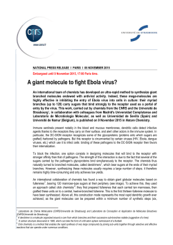 A giant molecule to fight Ebola virus?
