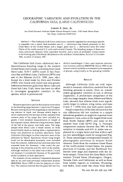 geographic variation and evolution in the california gull (larus