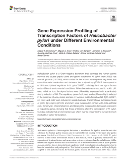 Gene Expression Profiling of Transcription Factors of Helicobacter