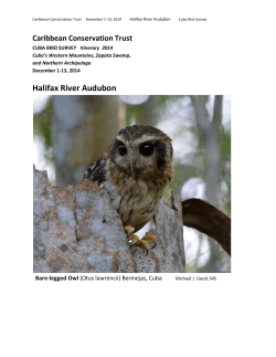 Cuba Report (Halifax River Audubon)