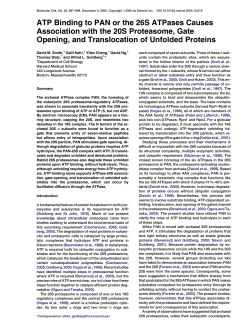 ATP Binding to PAN or the 26S ATPases Causes Association with