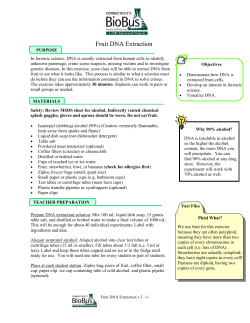 Fruit DNA Extraction v.3.pub