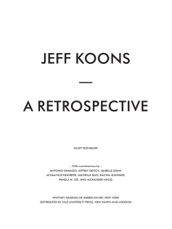 jeff koons &ndash;&ndash; a retrospective