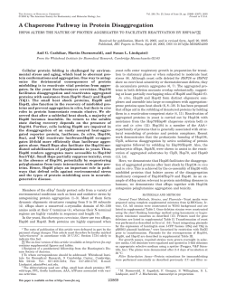 A chaperone pathway in protein disaggregation