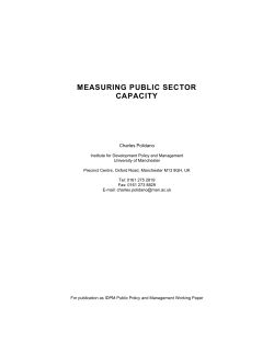 Measuring Public Sector Capacity