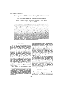 Protein Synthesis and Differentiation During Pulmonate