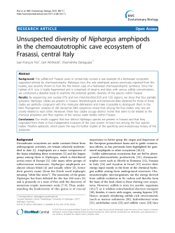 Unsuspected diversity of Niphargus amphipods in the