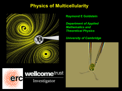 Physics of Multicellularity