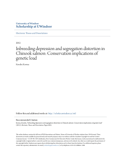 Inbreeding depression and segregation distortion in Chinook