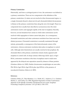Primary Constriction