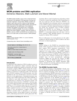 MCM proteins and DNA replication