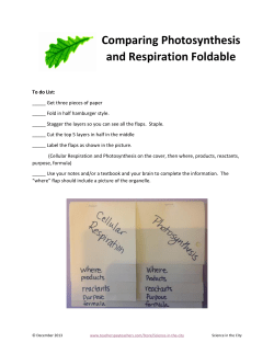 Comparing Photosynthesis and Respiration Foldable
