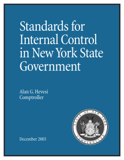 CVR Standards for Internal Control.pmd