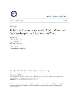 Habitat evaluation procedure for Rocky Mountain bighorn sheep in
