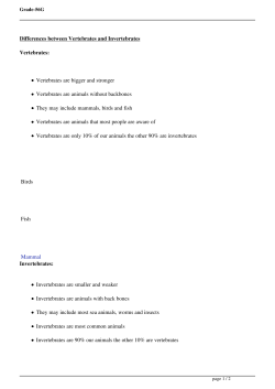 Differences between Vertebrates and Invertebrates - Grade-56G