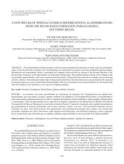 A NEW SPECIES OF SPHENACANTHId