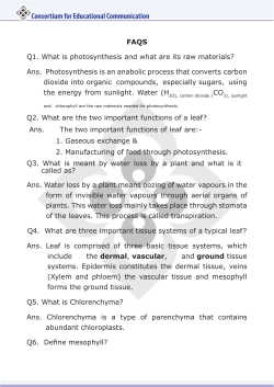 Consortium for Educational Communication